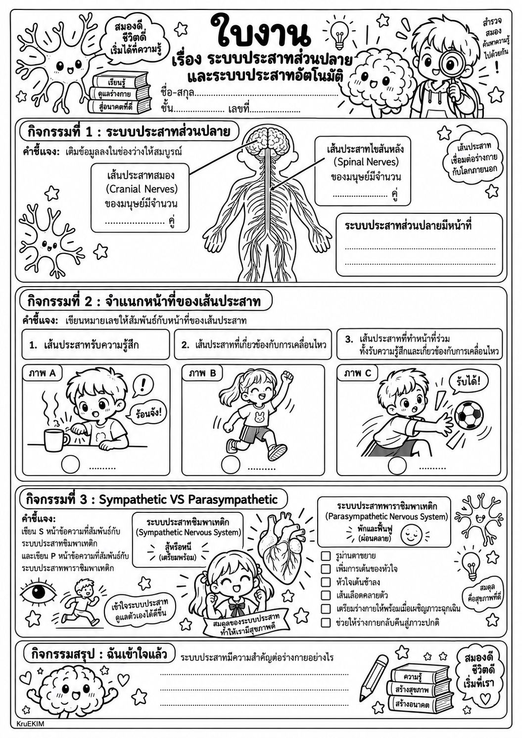 ภาพปก ระบบประสาทส่วนปลายและระบบประสาทอัตโนมัติ