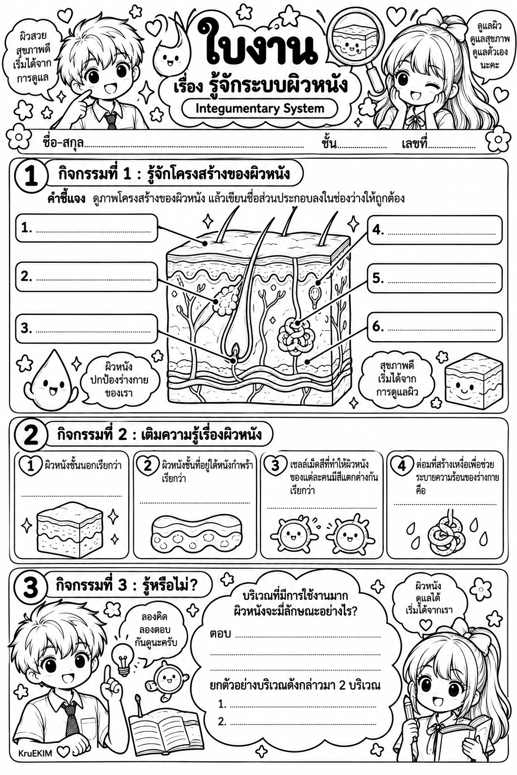 ภาพปก รู้จักระบบผิวหนัง